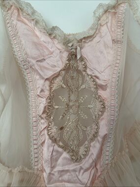 Incredible Vintage Pink and Cream Embroidered Bodysuit